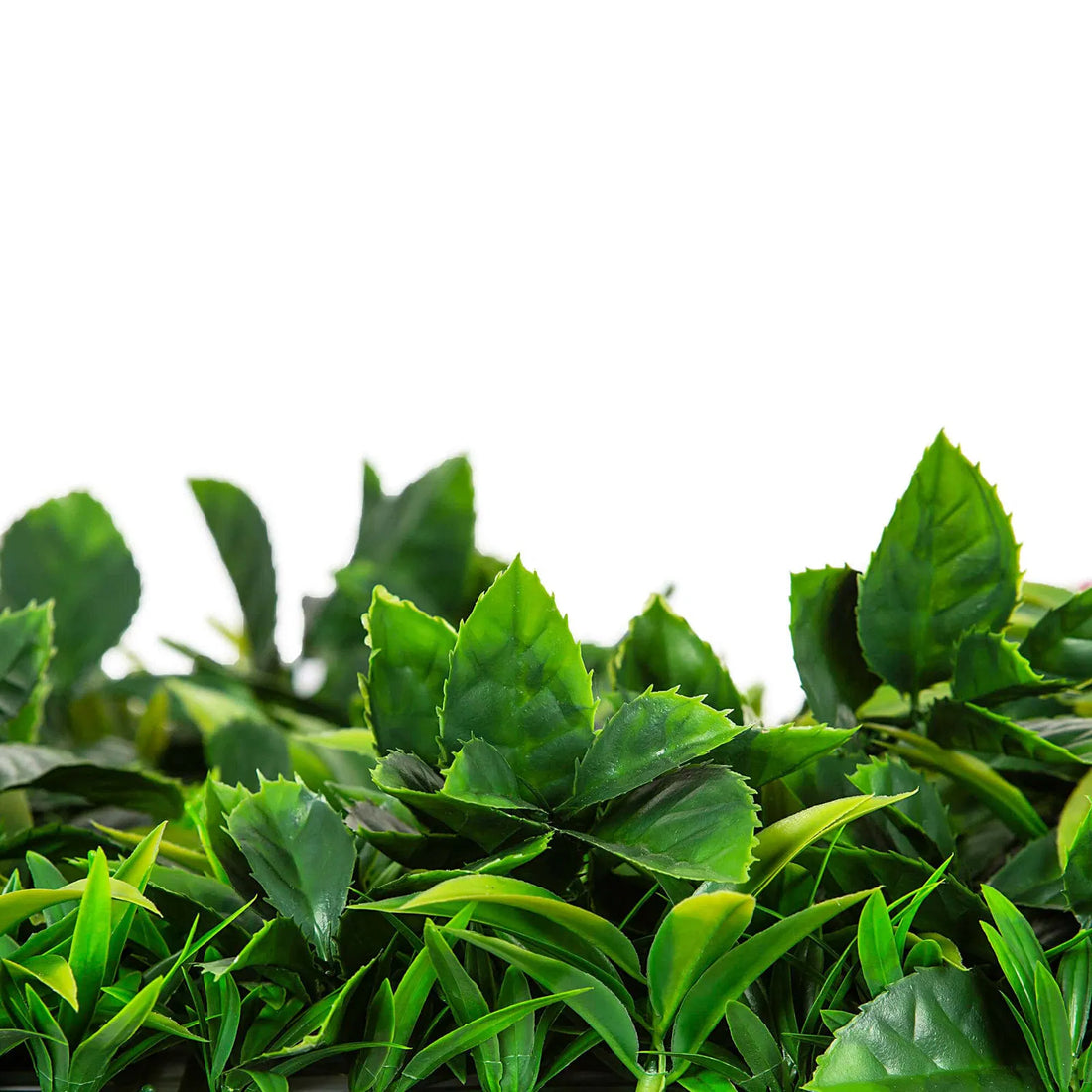 Luxury Snowy White Vertical Garden / Green Wall UV Resistant 100cm x 100cm